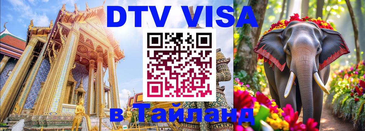 Оформление DTV визы под ключ: стоимость и тарифы, только загранпаспорт - Арзамас  05.10.2025 